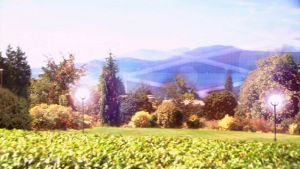 Cloud 9 - Horizon.jpg