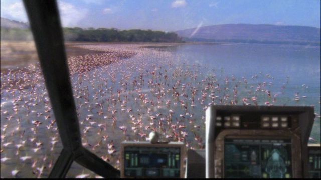 File:Diverse Wildlife.jpg