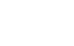 Dvd-video-logo white.svg