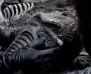 Earth Cylon Centurian.JPG