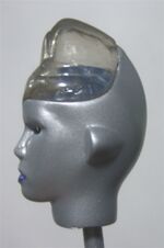 Thumbnail for File:Joy and Tom Studios - Lucifer Head Sculpt - Painted - 2.jpg