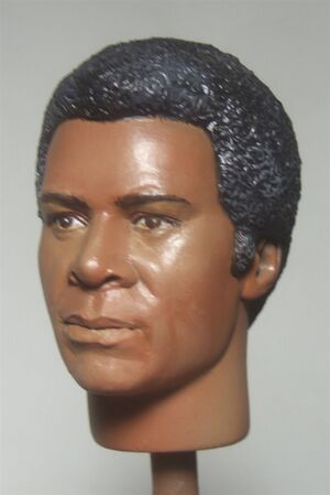 Joy and Tom Studios - Tigh Head Sculpt - Painted - 1.jpg