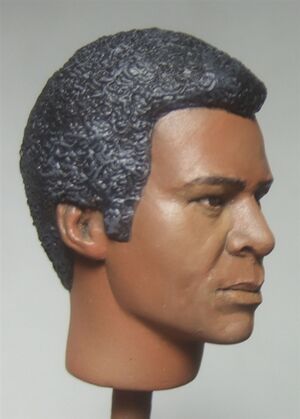 Joy and Tom Studios - Tigh Head Sculpt - Painted - 3.jpg
