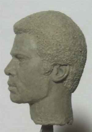Joy and Tom Studios - Tigh Head Sculpt - Unpainted - 1.jpg