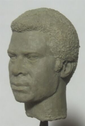 Joy and Tom Studios - Tigh Head Sculpt - Unpainted - 2.jpg