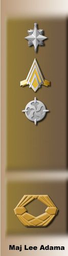 Lee Adama's dress uniform insignia.