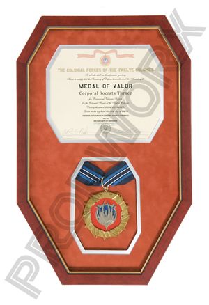 Medal of Valor - wm.jpg