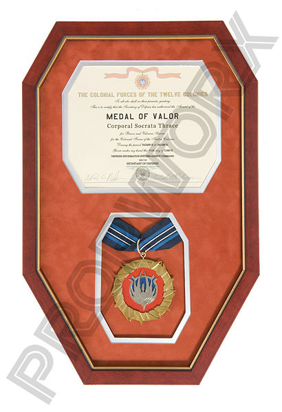 File:Medal of Valor - wm.jpg