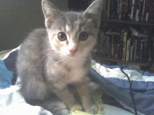 N546322221 143875 5248.jpg