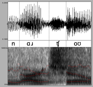 Narcho-spectrogram.png