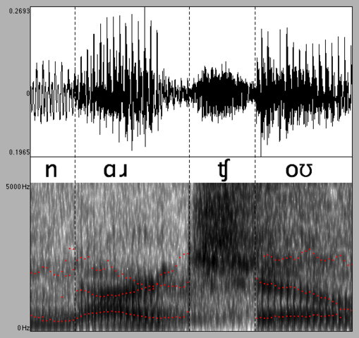 File:Narcho-spectrogram.png