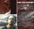 Thumbnail for File:POTD - Ben Cotton's Multiple Roles in BSG.png