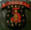 Fighter Squadron 5 Prowlers    