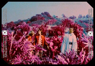 The light on the surface of the red planet gives everything a reddish appearance (TOS: "War of the Gods, Part I").