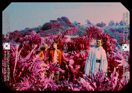 The light on the surface of the red planet gives everything a reddish appearance (TOS: "War of the Gods, Part I").