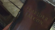 Thumbnail for File:Searider Falcon.jpg