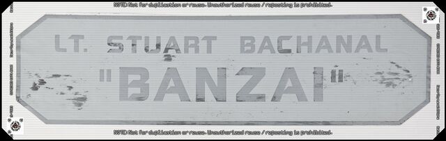 File:Stuart Bachanal - Viper Mark II Nameplate.jpg
