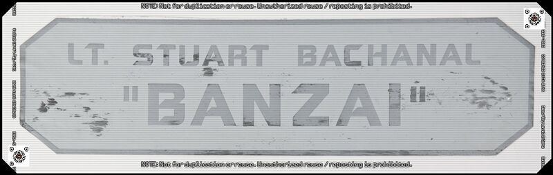 File:Stuart Bachanal - Viper Mark II Nameplate.jpg