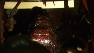 TRS - You Can't Go Home Again - Raider Brain.jpg