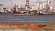 Thumbnail for File:The Plan - Two-Tone Raptor in a Picon Harbor.jpeg