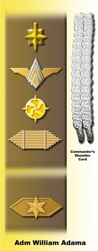 William Adama's dress uniform insignia.