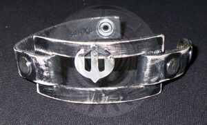 Young Buckminster's bracelet-wm.jpg